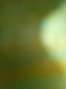 Rithu SL online show from March 10, 2026, 10:19 am