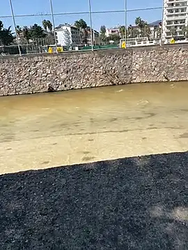 dundar0765 online show from March 13, 2026, 9:36 am