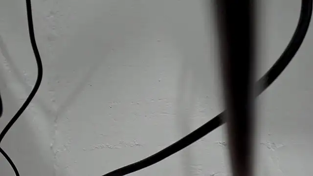 Criistal castro online show from May 17, 2026, 12:05 pm