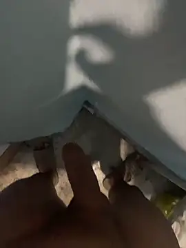 tardecaliente online show from February 26, 2026, 7:08 am