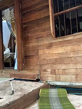 fairy bell online show from March 5, 2026, 5:37 am