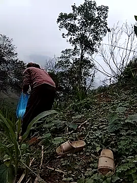 lovely-742 online show from April 19, 2026, 9:43 am