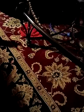 stressrliver88 online show from February 14, 2026, 8:58 am