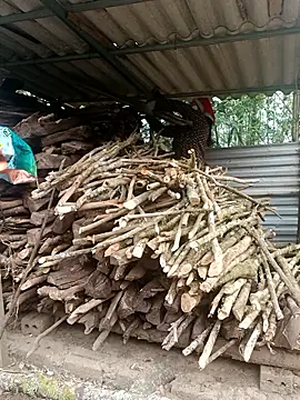 nelina 12345 online show from April 15, 2026, 12:16 am