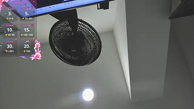 agartha velvet online show from March 30, 2026, 3:41 am