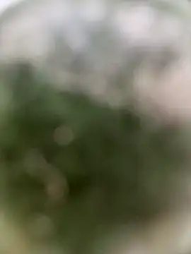 0BANANABANANA0 online show from April 18, 2026, 9:22 am