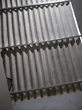 Baby flower 1 online show from February 16, 2026, 8:24 am