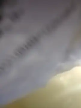 MissBella0969 online show from April 14, 2026, 10:04 pm