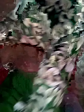 mimpake online show from April 10, 2026, 8:21 am