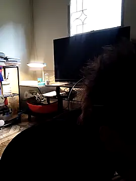 rdan13 online show from March 3, 2026, 7:04 am