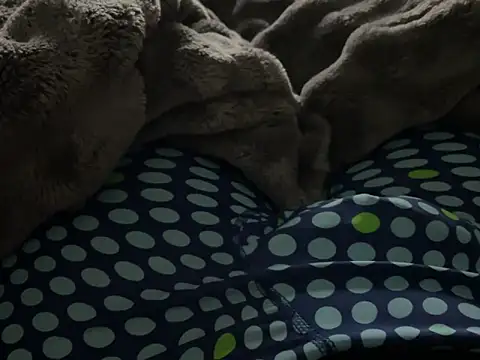 kakarot241515 online show from March 6, 2026, 2:17 am