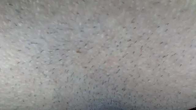 machodotado97 online show from March 15, 2026, 5:14 am