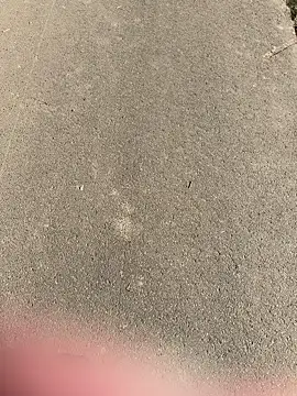 Marlon06  online show from April 8, 2026, 2:51 pm