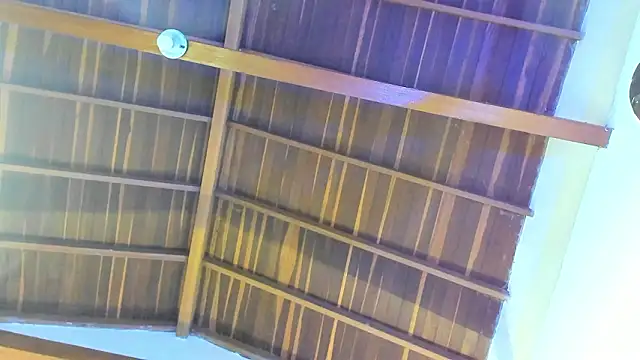 TonyPetrovjs online show from February 26, 2026, 5:51 am