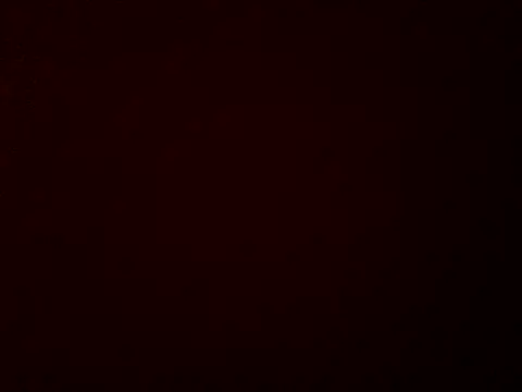 stud2512 online show from March 8, 2026, 10:51 am