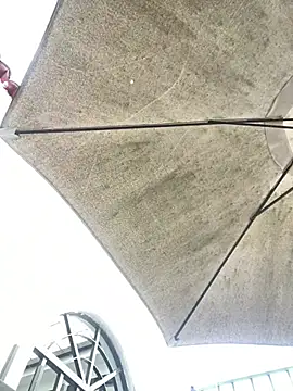 AdaPink  online show from April 1, 2026, 2:03 pm