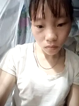 pic8800 online show from May 6, 2026, 10:36 pm