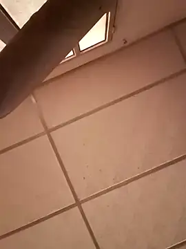 darwinmodell online show from December 28, 2024, 4:52 pm