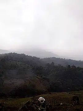 lyly sexx online show from March 14, 2026, 4:29 am