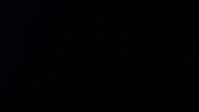 artemisa aly online show from April 8, 2026, 11:44 am