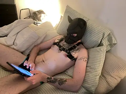 BraxtonArcher01 online show from March 22, 2026, 4:08 pm