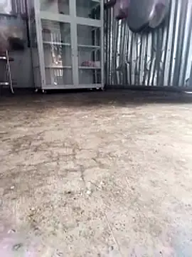 Malisa-aa online show from March 11, 2026, 12:04 am