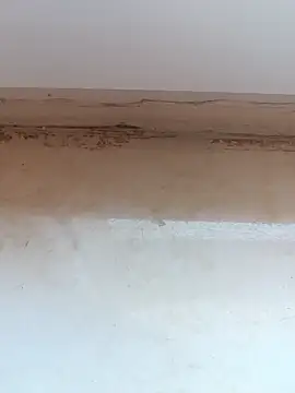 jeniferoo online show from March 11, 2026, 8:41 am