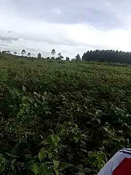 smallville26 online show from April 23, 2026, 2:19 pm