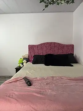 Snapshot of clau_v22 chatting on March 21, 2026, 2:13 am clau v22 online show from March 21, 2026, 2:13 am