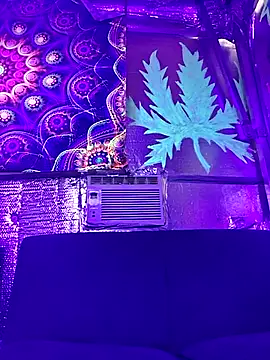 Snapshot of drednasty chatting on April 5, 2026, 4:08 am drednasty online show from April 5, 2026, 4:08 am