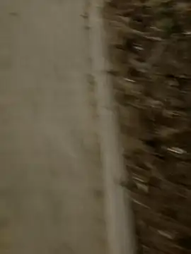 MarekPublicShow online show from March 3, 2026, 9:44 pm