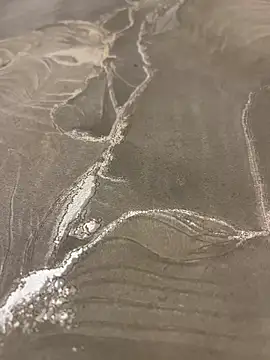 sharks90 online show from March 19, 2026, 5:07 am