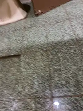 felps301816 online show from March 7, 2026, 1:49 pm