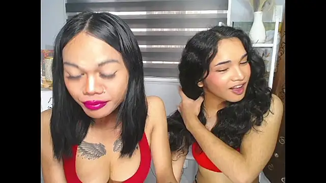 MaterialDuoTransxxx online show from June 5, 2026, 5:12 am