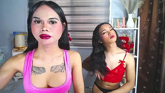 MaterialDuoTransxxx online show from May 31, 2026, 4:18 am