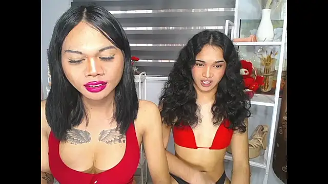 MaterialDuoTransxxx online show from June 5, 2026, 6:52 am