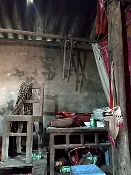 Yellow-pink online show from March 24, 2026, 4:34 am