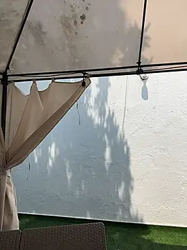 Bella-Ferrer online show from March 17, 2026, 6:22 pm