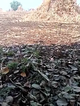 new sexy couple online show from April 7, 2026, 7:10 am