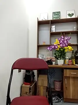 Mai phuong online show from April 13, 2026, 12:47 am