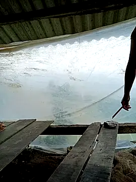 kalara kail online show from March 25, 2026, 4:56 am