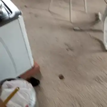 hotwife   br online show from April 6, 2026, 3:46 pm