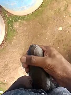 Snapshot of sanju_5418 chatting on March 17, 2026, 5:10 am sanju 5418 online show from March 17, 2026, 5:10 am