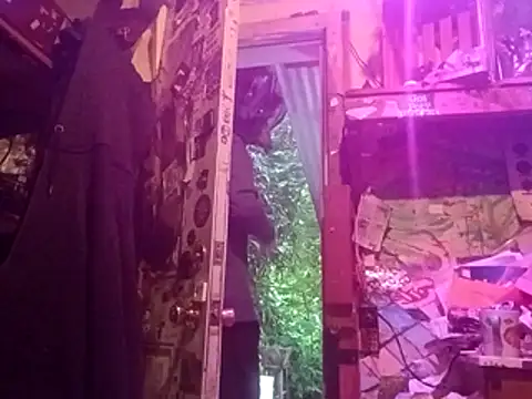 nearby causual online show from May 26, 2026, 2:20 am