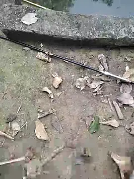 Luuthanh08 online show from March 21, 2026, 9:36 am