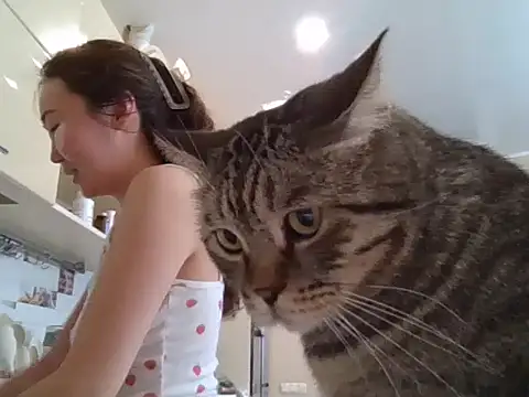 AsianJade1 online show from March 24, 2026, 11:54 am