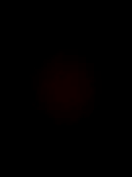 lonakim online show from April 3, 2026, 6:14 pm