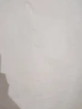 SLBL online show from March 25, 2026, 9:30 am