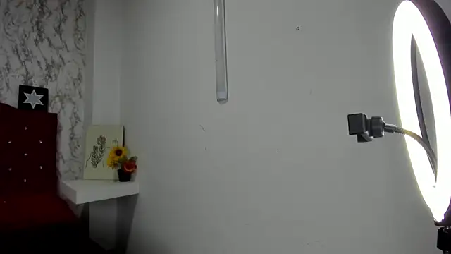 Snapshot of Alejandra_and_James_ chatting on May 4, 2026, 11:24 am Alejandra and James online show from May 4, 2026, 11:24 am