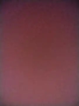 Snapshot of TANU01990 chatting on April 12, 2026, 5:11 am TANU01990 online show from April 12, 2026, 5:11 am